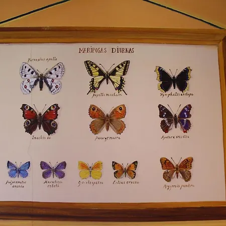 Apartamento Natura *